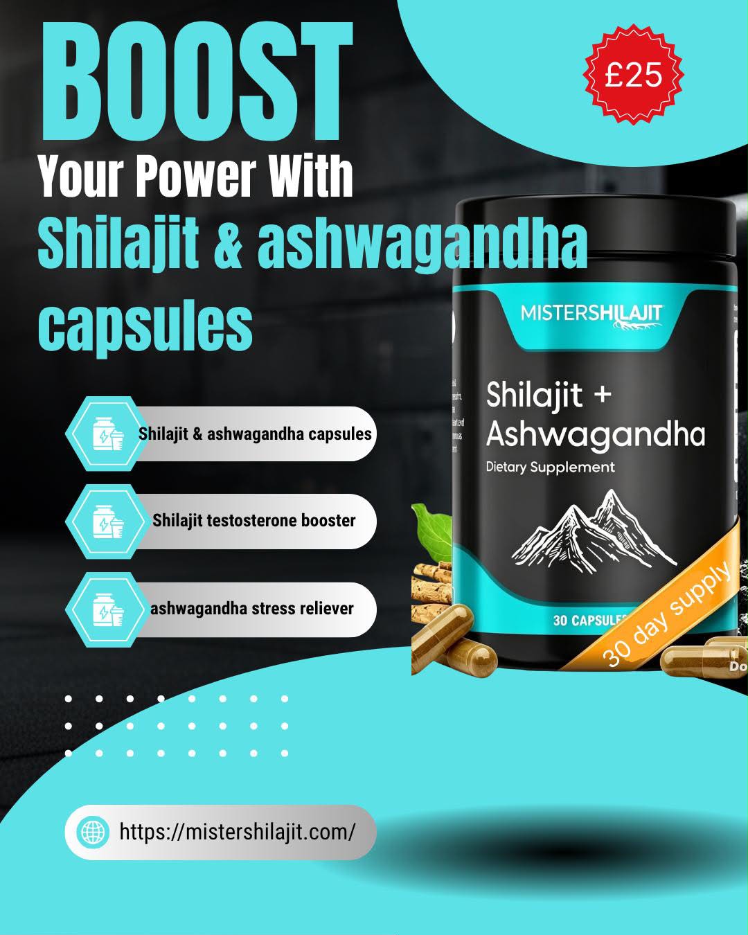 MisterShilajit Shilajit + Ashwagandha Capsules (30 Day Supply)